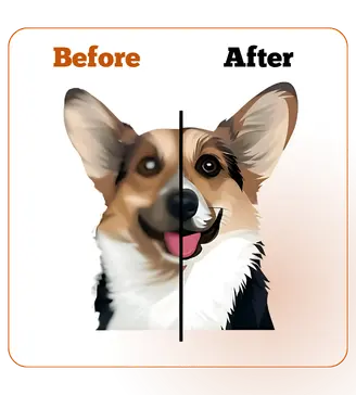 Vector Art Service