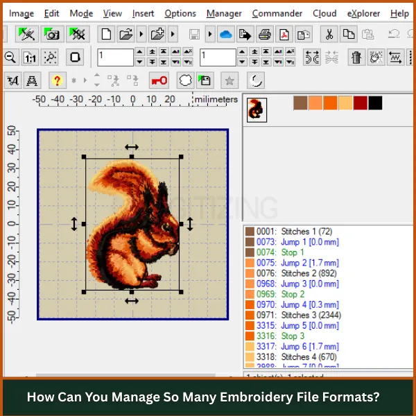 How Can You Manage So Many Embroidery File Formats