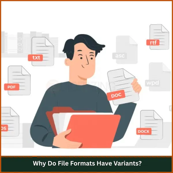 Why Do File Formats Have Variants