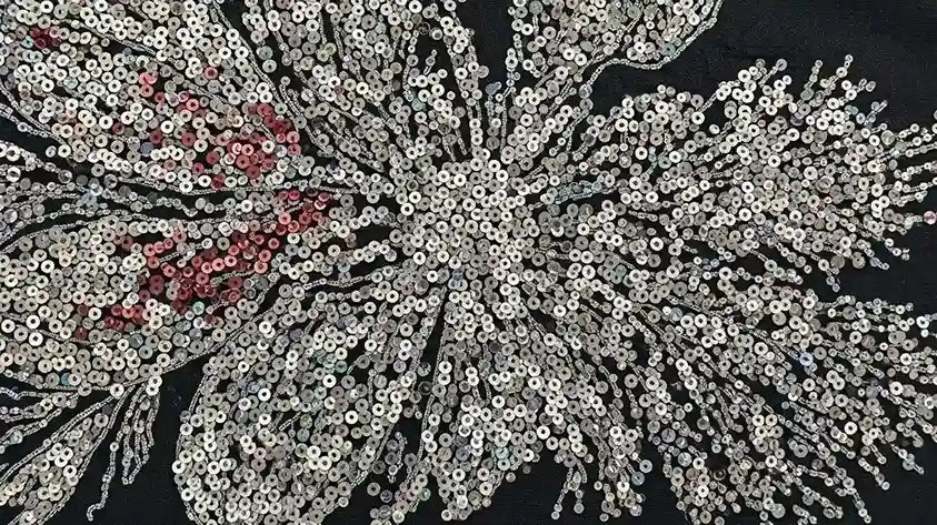 Numérisation de paillettes