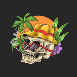 —Pngtree—skull chill tropical holiday summer_5339936