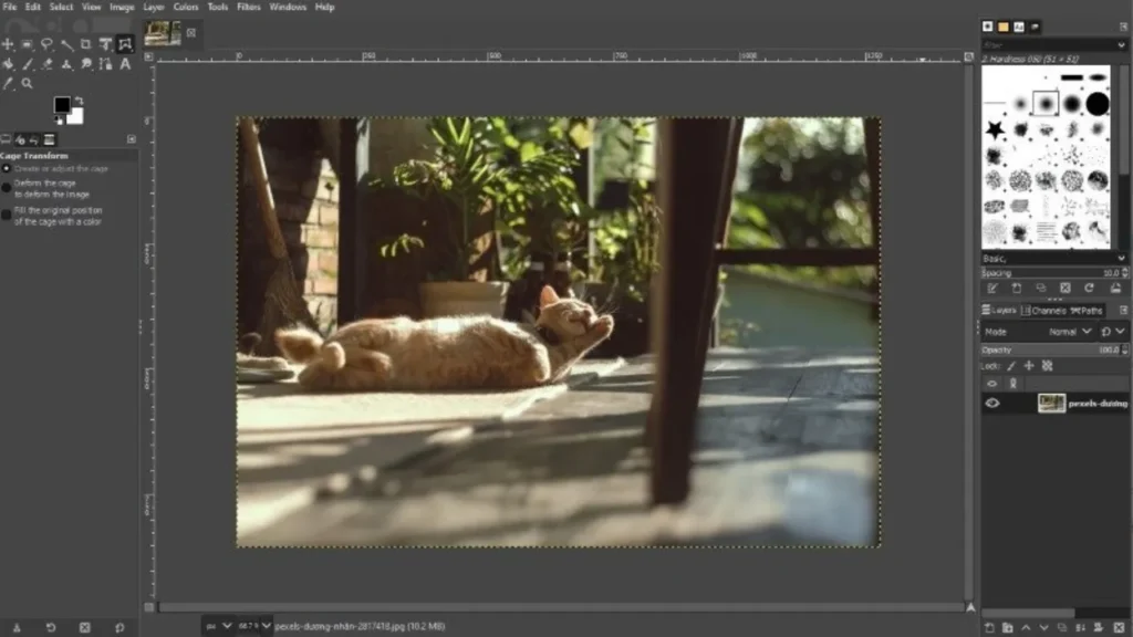 Diseño de código abierto GIMP con compatibilidad vectorial (limitado)