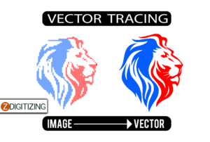 Vector Tracing Services