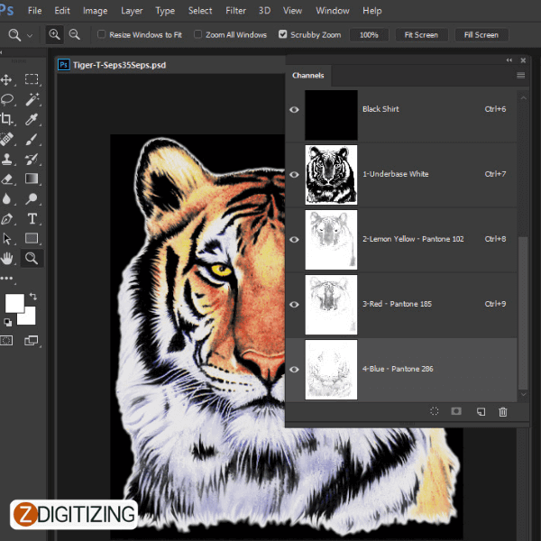 Best 9 Color Separation Software for Screen Printers
