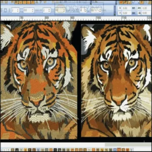 Composition Techniques for Embroidery Digitizing