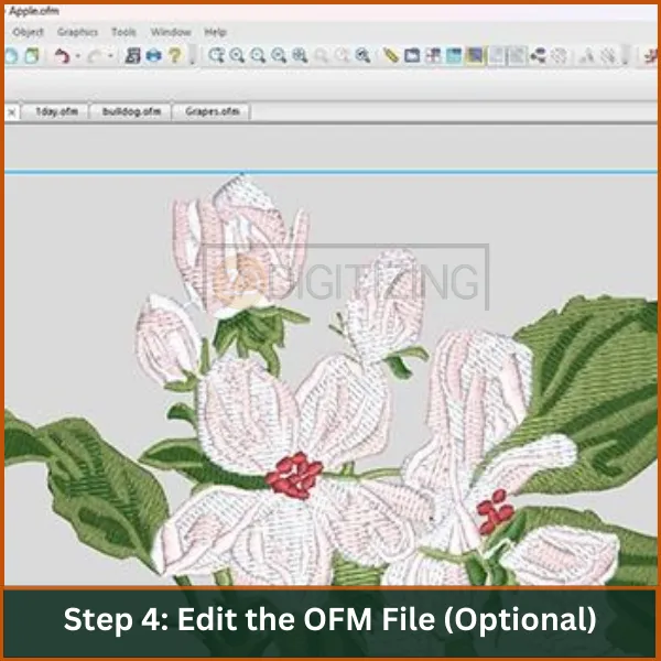 Edit-the-OFM-File-Optional