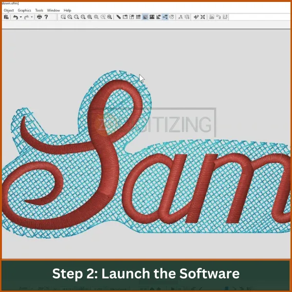 Launch-the-Software