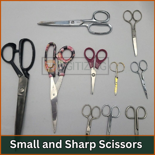 Small and Sharp Scissors