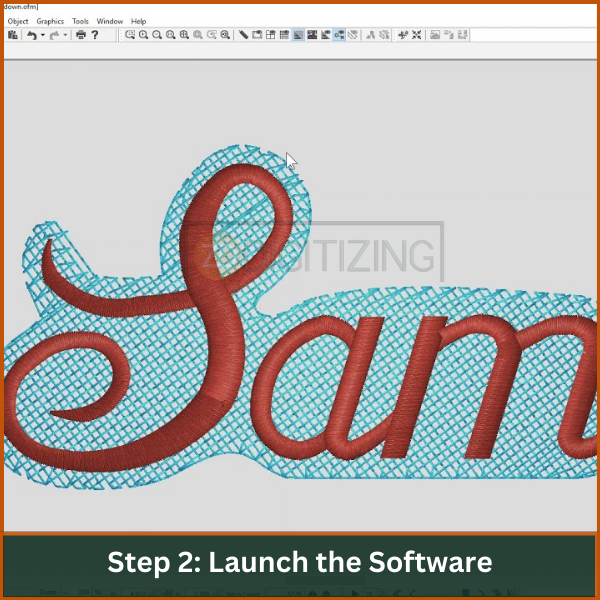 Step 2 Launch the Software