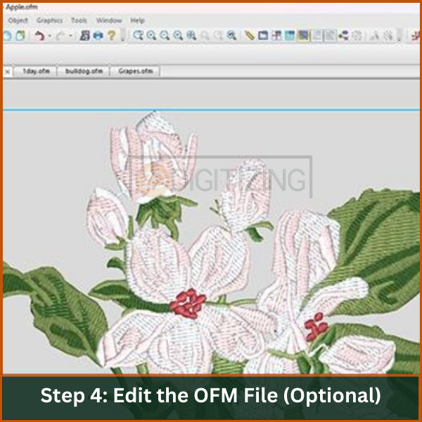 Step 4 Edit the OFM File (Optional)