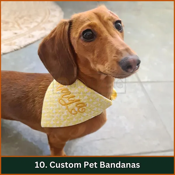 Custom Pet Bandanas