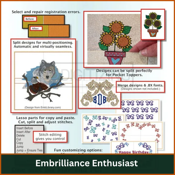 Embrilliance Enthusiast