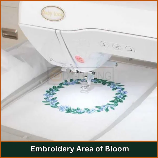 Embroidery Area of Bloom