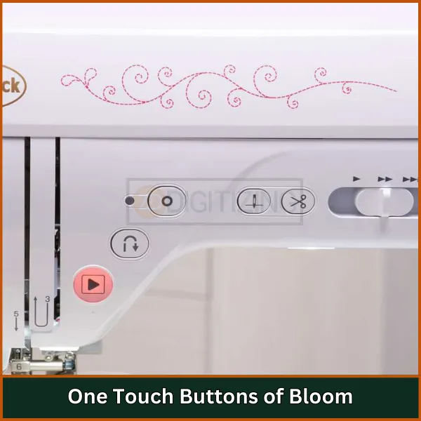 One Touch Buttons of Bloom