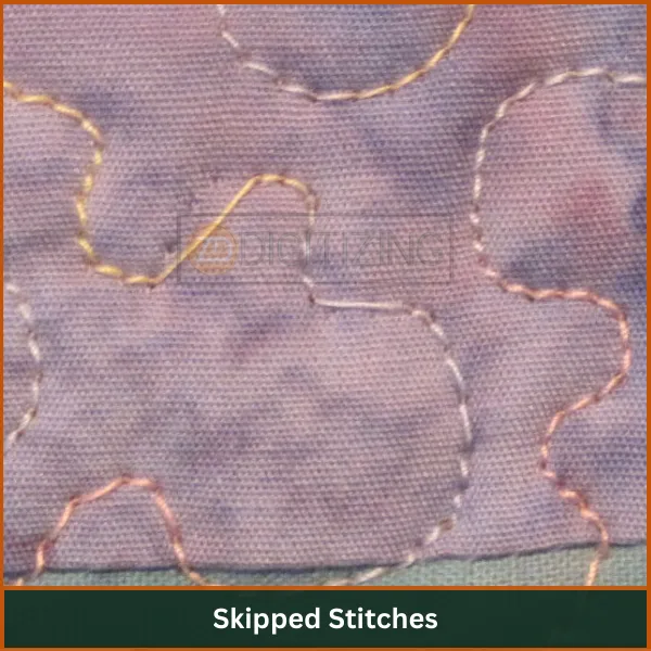 Skipped-Stitches