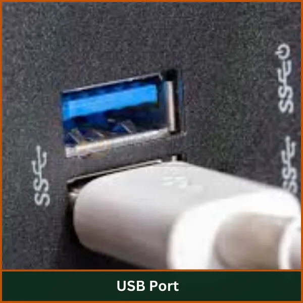 USB-Port