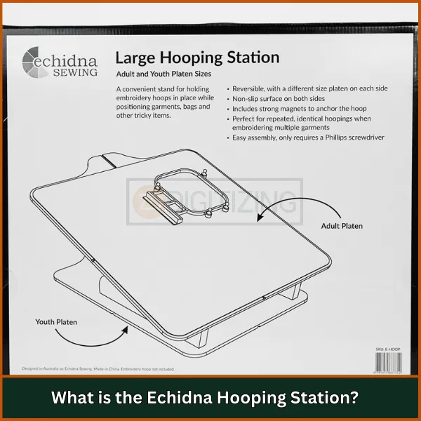 What is the Echidna Hooping Station