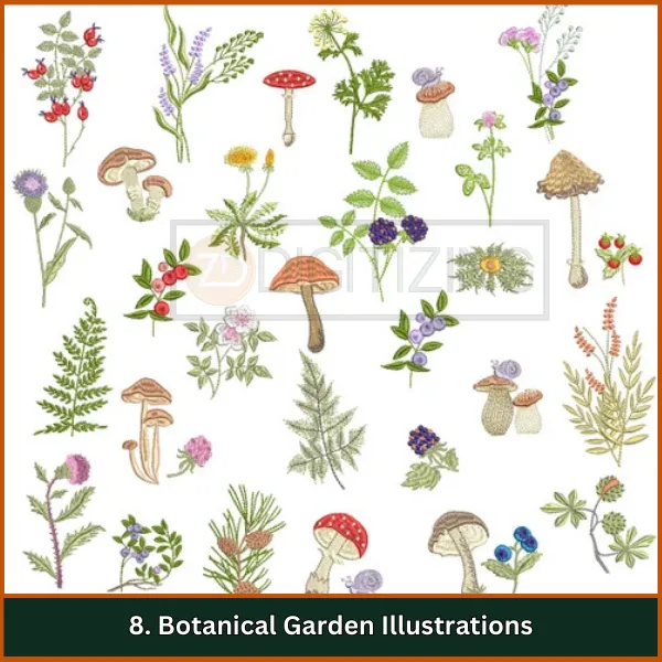 Botanical Garden Illustrations