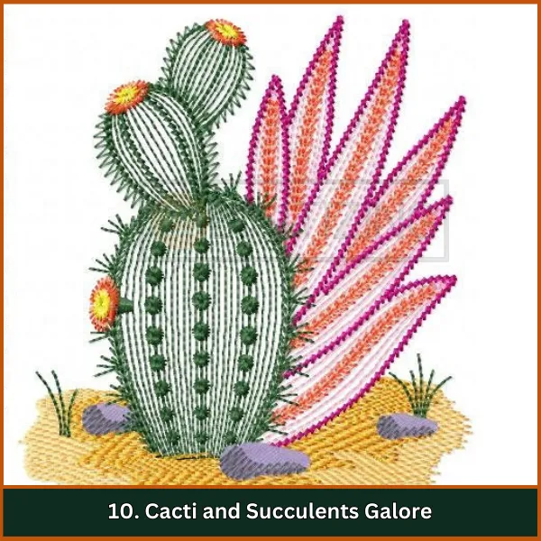 Cacti and Succulents Galore