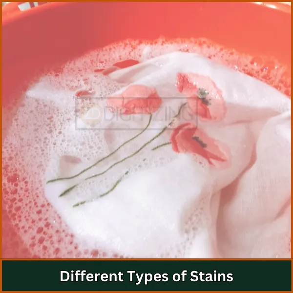 Different Types of Stains