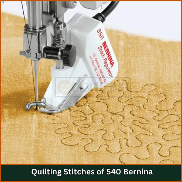 Quilting Stitches of 540 Bernina