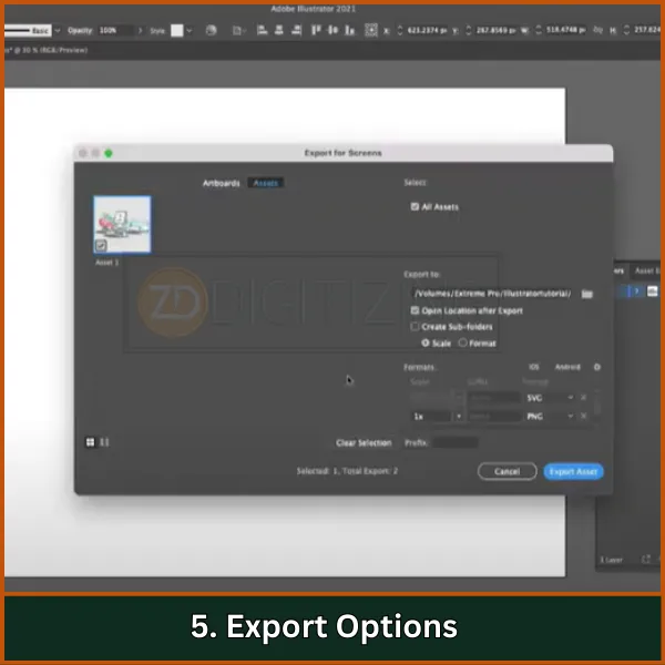 Export Options