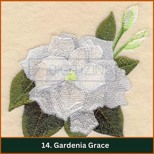 Gardenia Grace