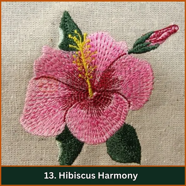 Hibiscus Harmony