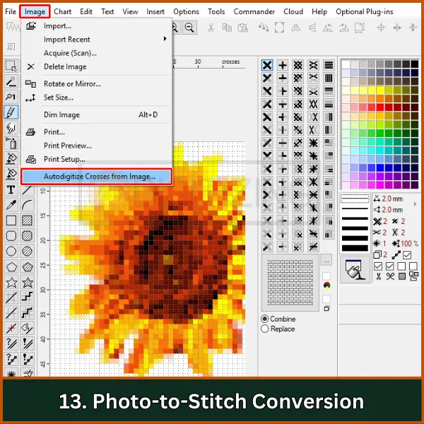 Photo-to-Stitch Conversion