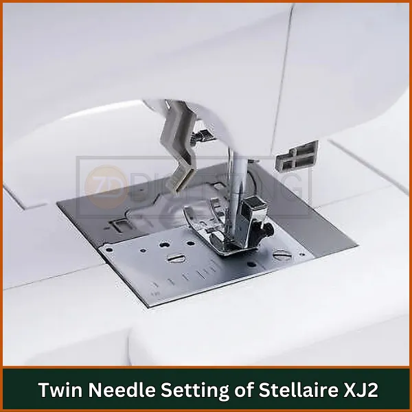 Twin Needle Setting of Stellaire XJ2