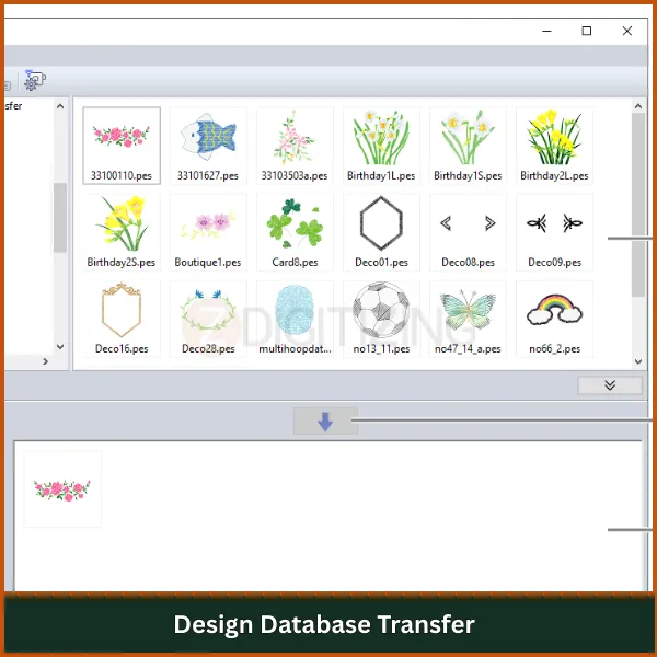 Design Database Transfer