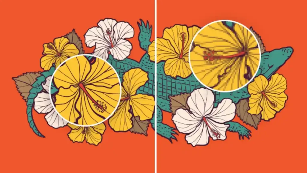 How Vector Graphics Are Built and Why They Matter