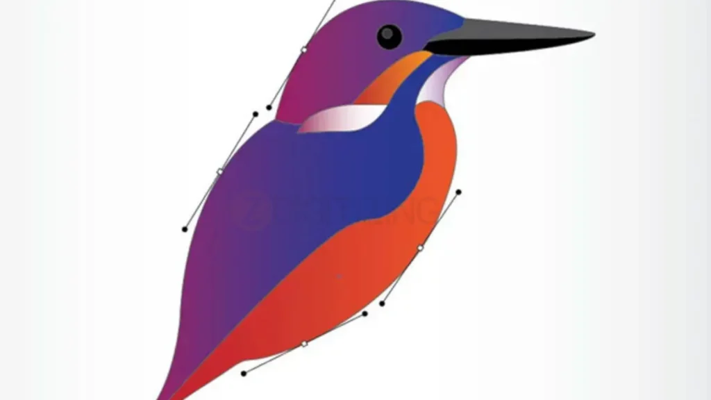 Vector Graphics